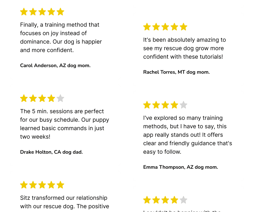 Dog training testimonials