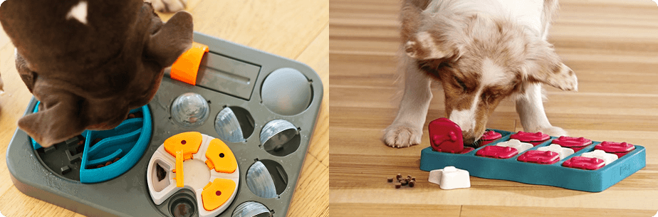 Treat-Filled Toys and Puzzle Games